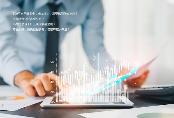 专业团队服务体系