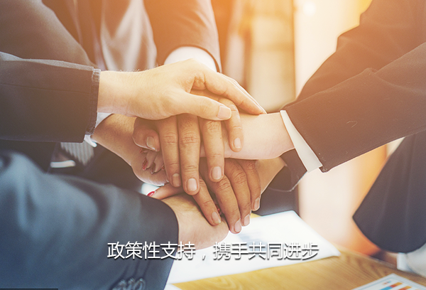 政策性支持原则